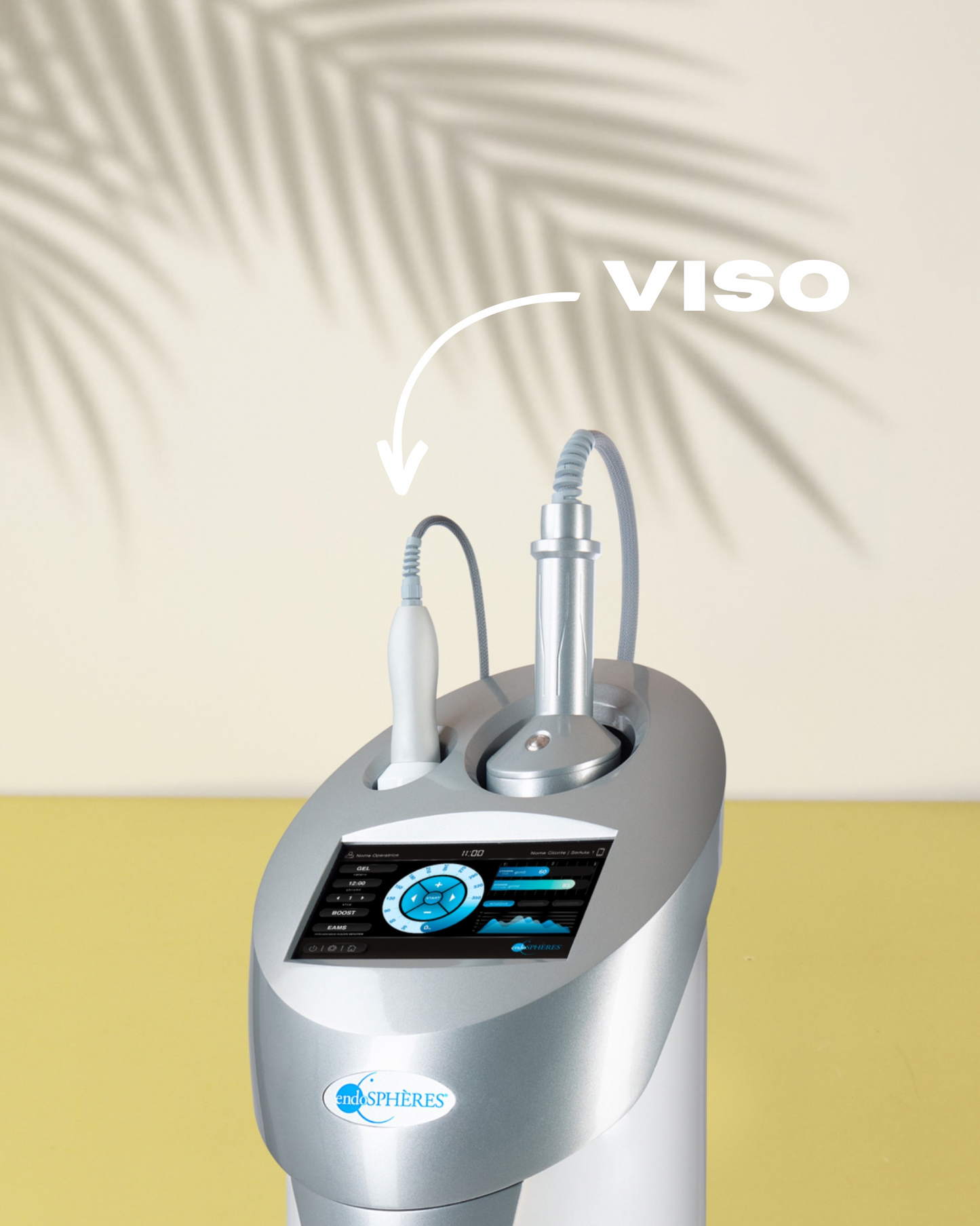 ENDOSPHERES VISO